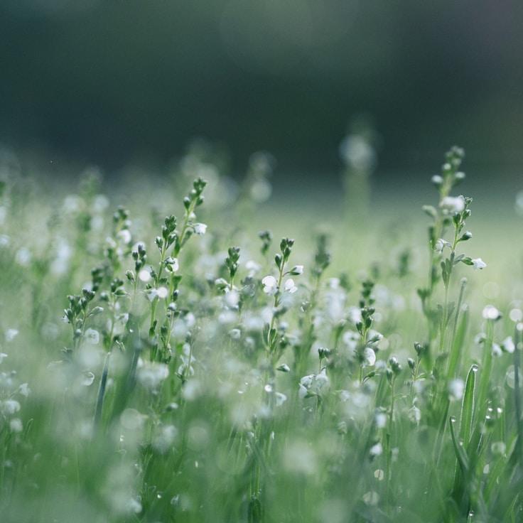 National parks landscape